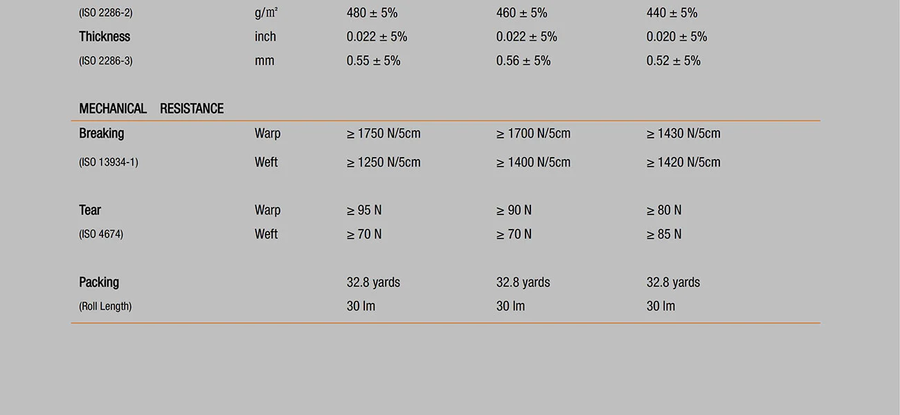 Clear Vision Clear Vision